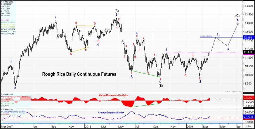 Rough Rice Technical Analysis