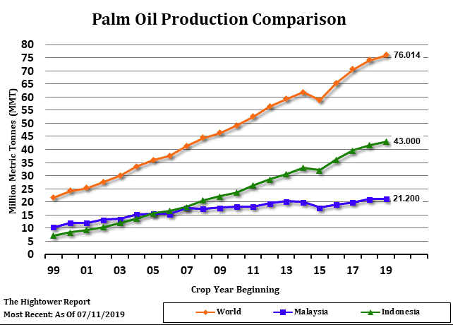 Palm Oil Production